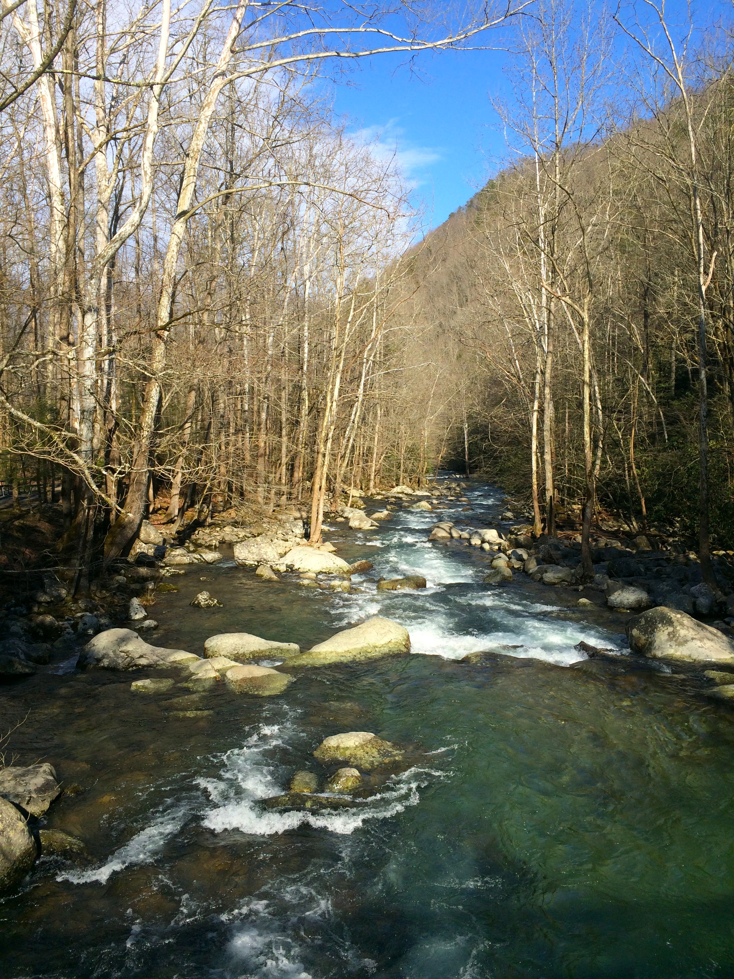 Great Smoky Mountains National Park